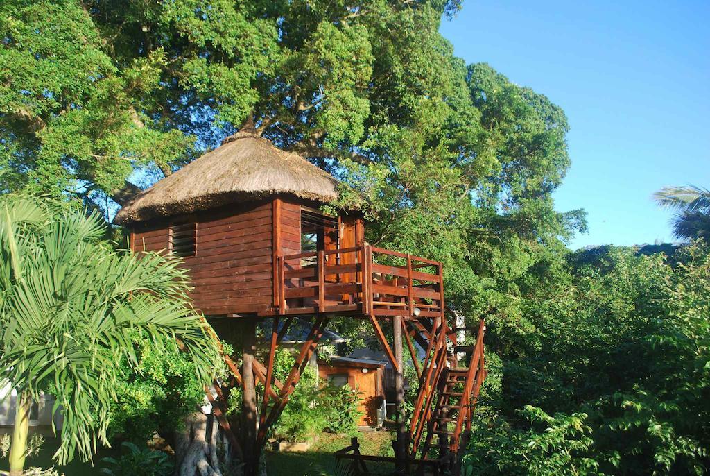 Tree Lodge Mauritius Belle Mare Habitación foto